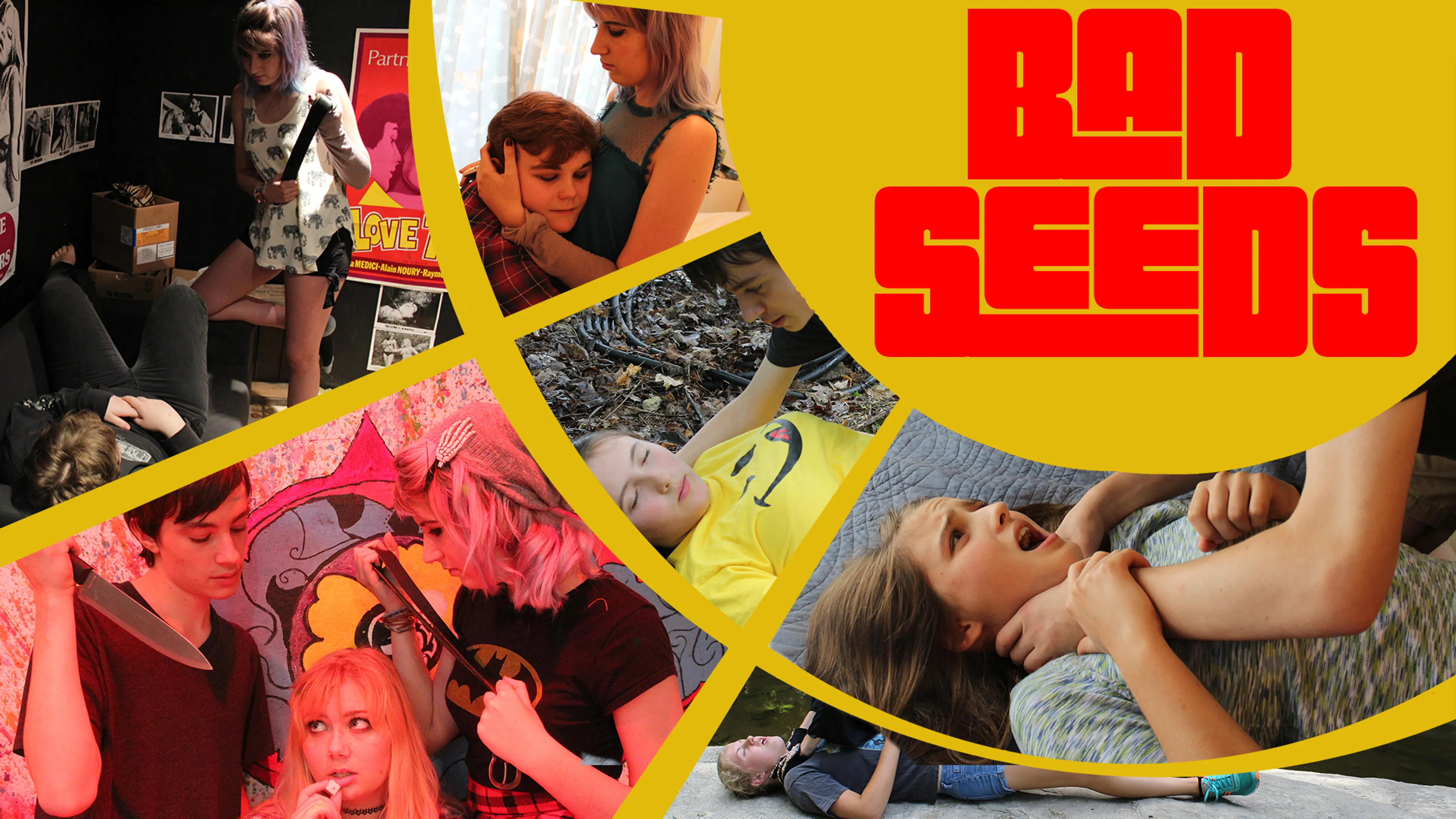 Bad Seeds poster